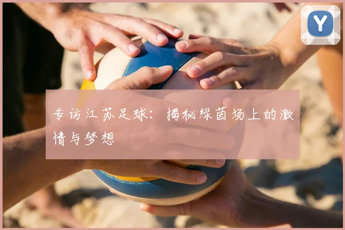 专访江苏足球：揭秘绿茵场上的激情与梦想