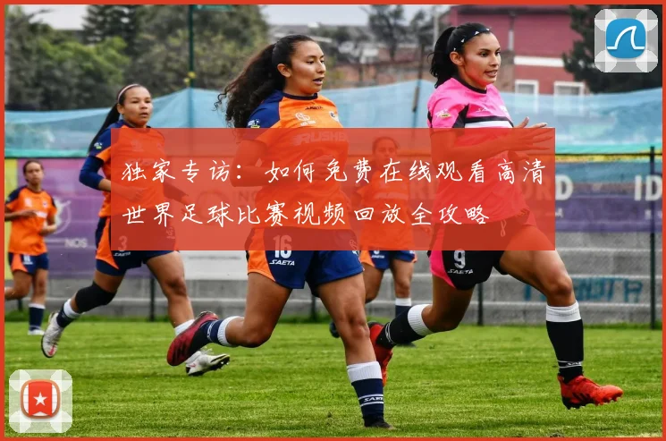 独家专访：如何免费在线观看高清世界足球比赛视频回放全攻略